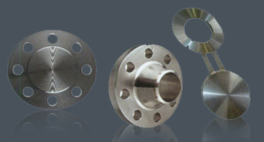 Flanges Fittings